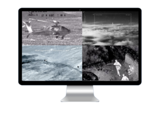 Safran DSI eZ-viewer-AIS