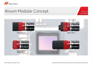 AVT - Custom Solutions AVT - Custom Solutions