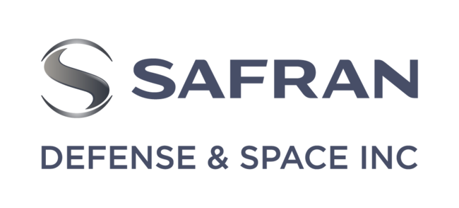 Safran DSI Logo_vertical logo grey