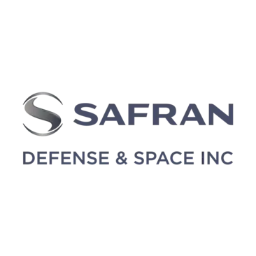 Safran DSI Logo_vertical logo grey