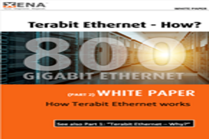 Xena Networks: How Terabit Ethernet works